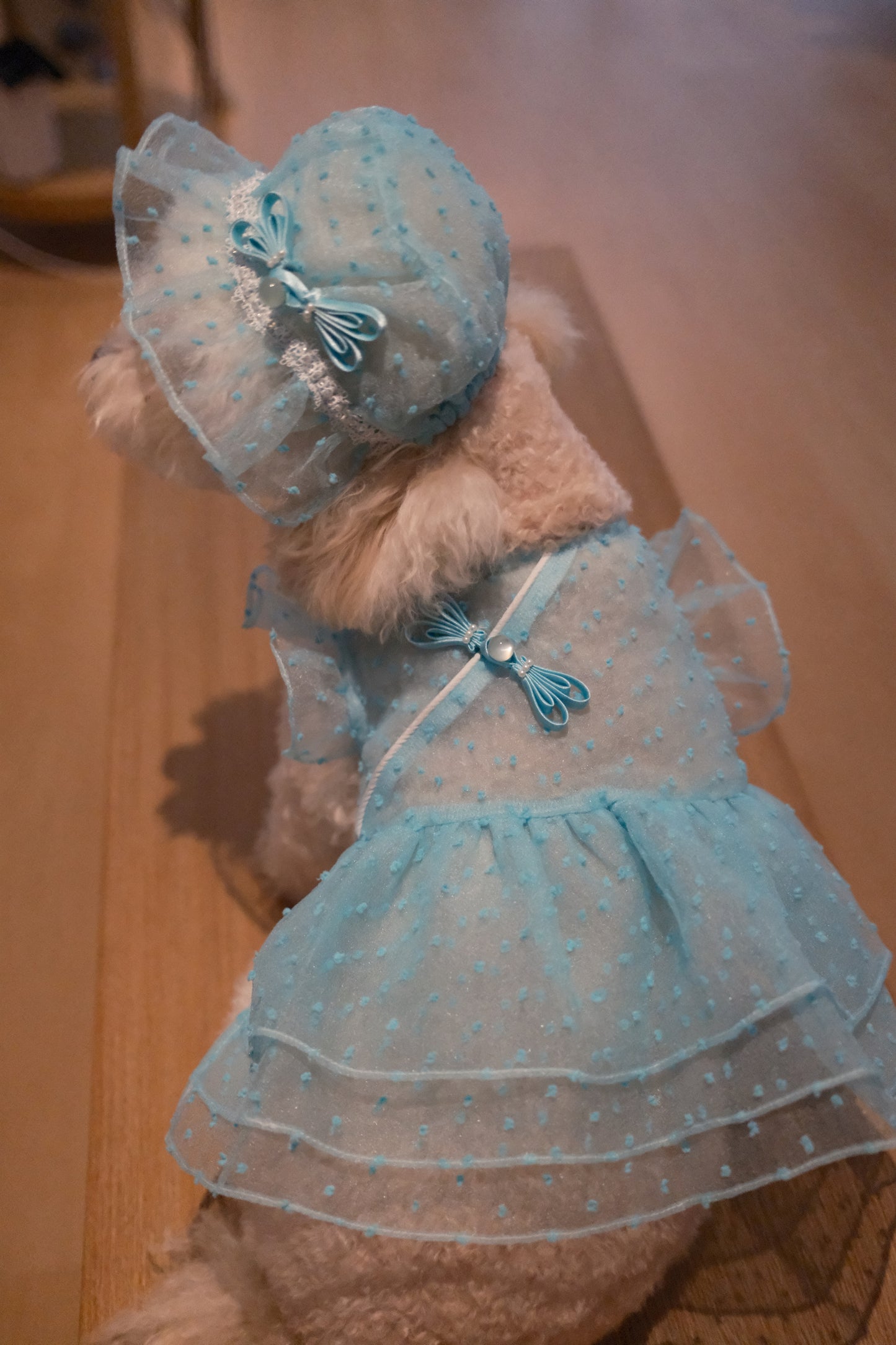 Starlight Tulle Collection