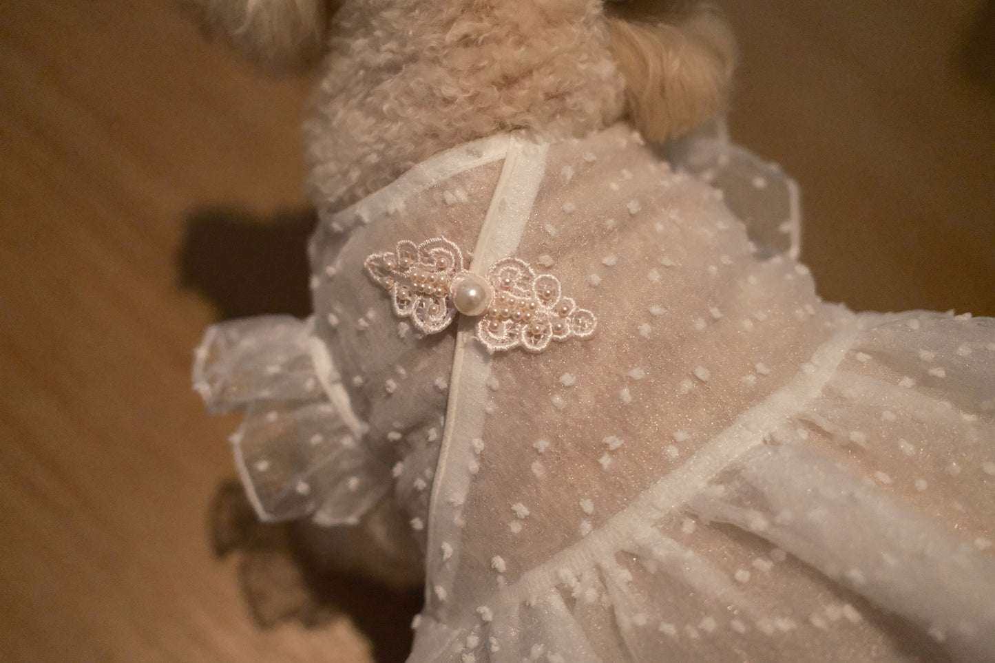 Starlight Tulle Collection