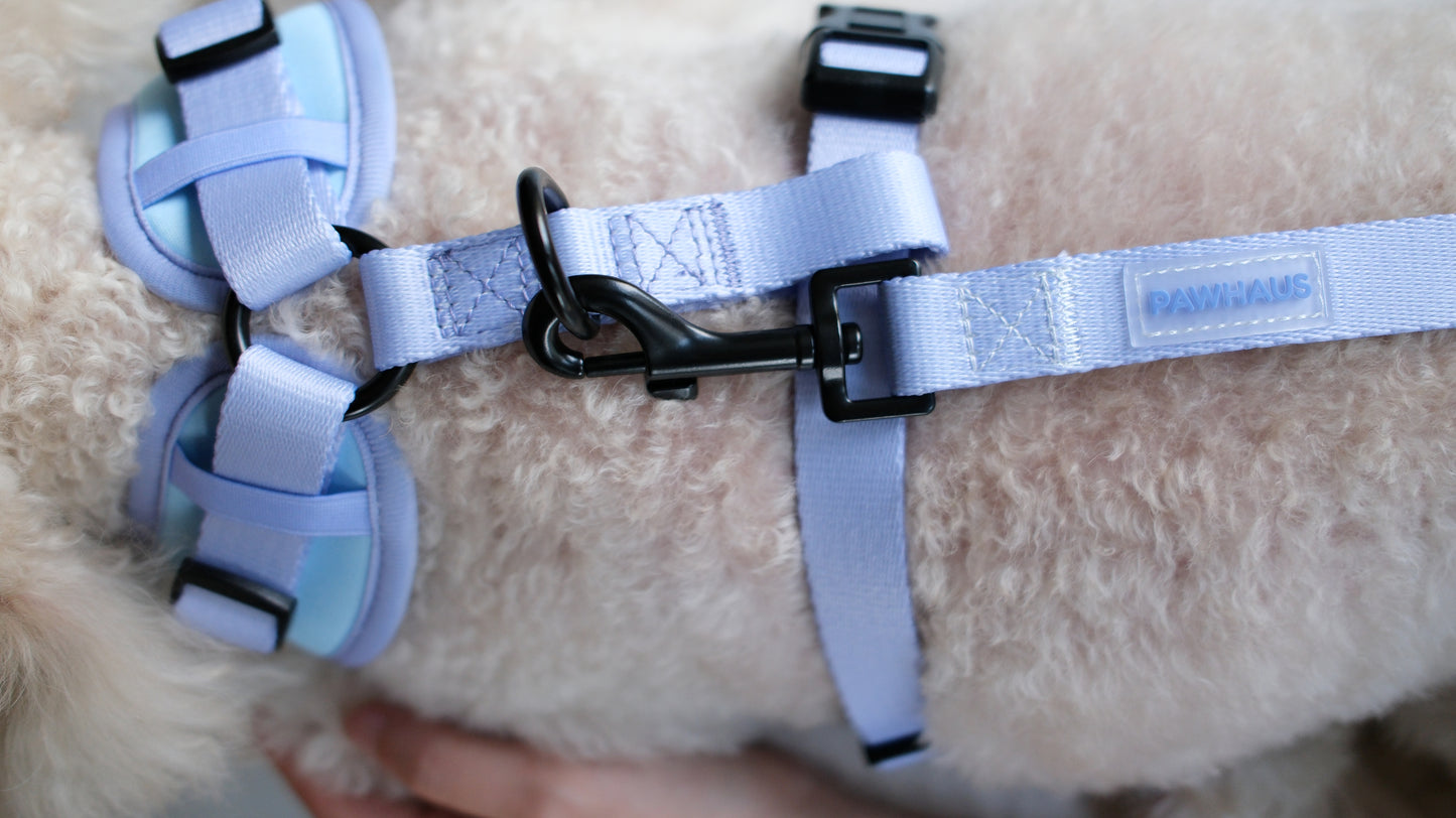 Lilac Sky Harness and Leash
