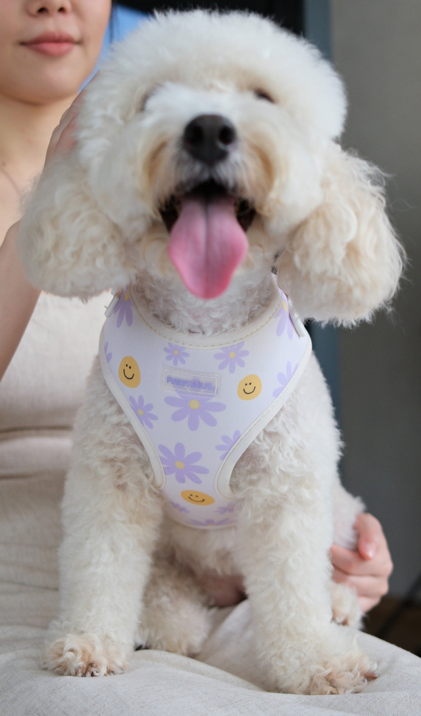 Smiley Bloom Comfort Harness & Leash Set