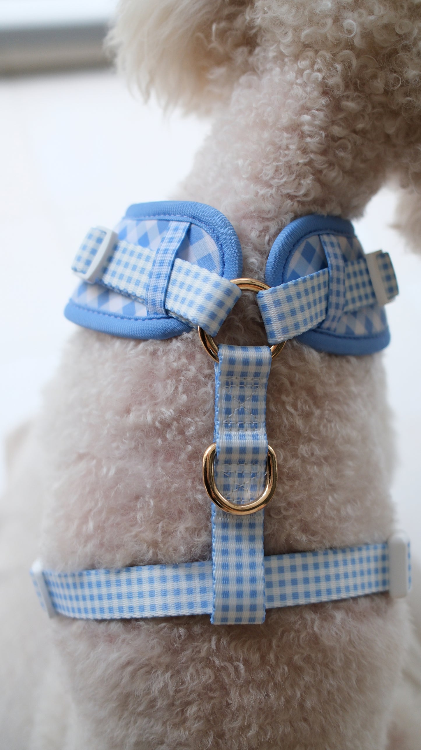 Blue Gingham Comfort Harness & Leash Set