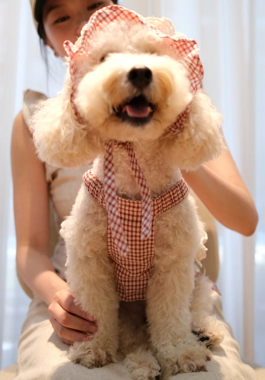 The Gingham Belle in Red