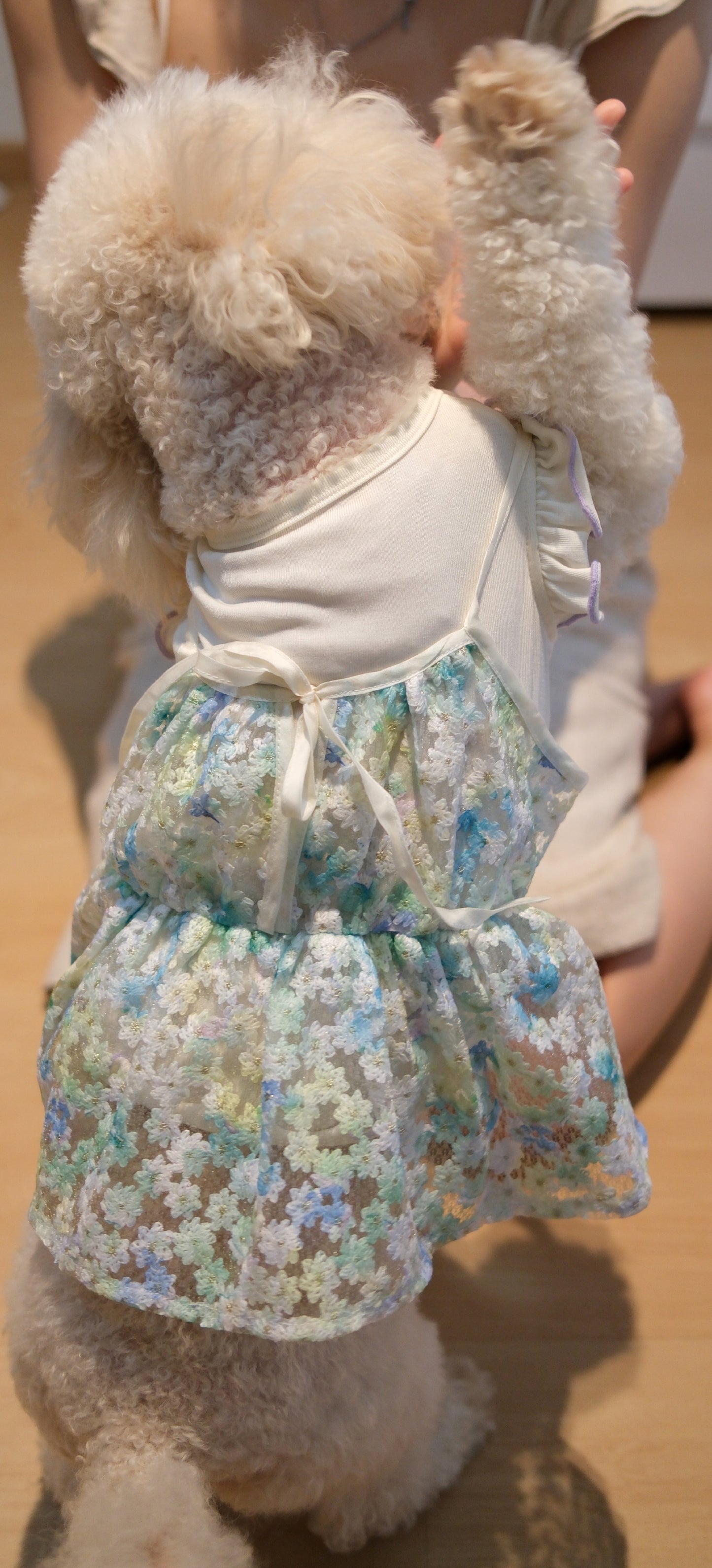 Whispering Blooms Collection