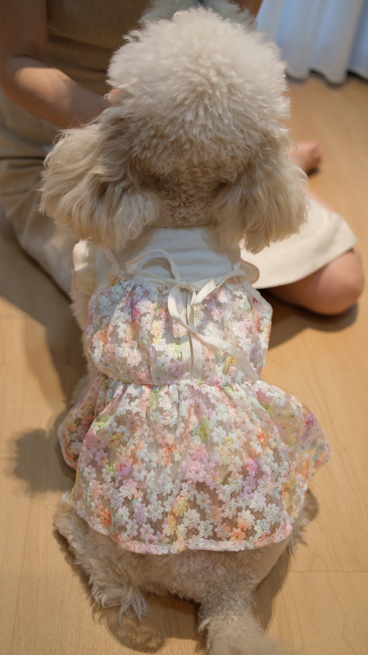 Whispering Blooms Collection