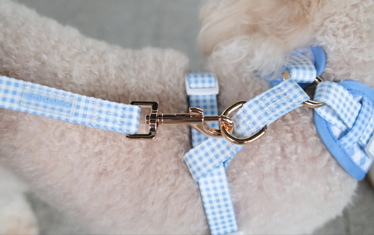 Blue Gingham Comfort Harness & Leash Set