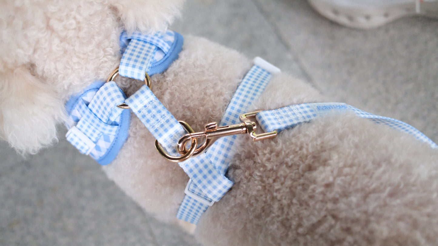 Blue Gingham Comfort Harness & Leash Set