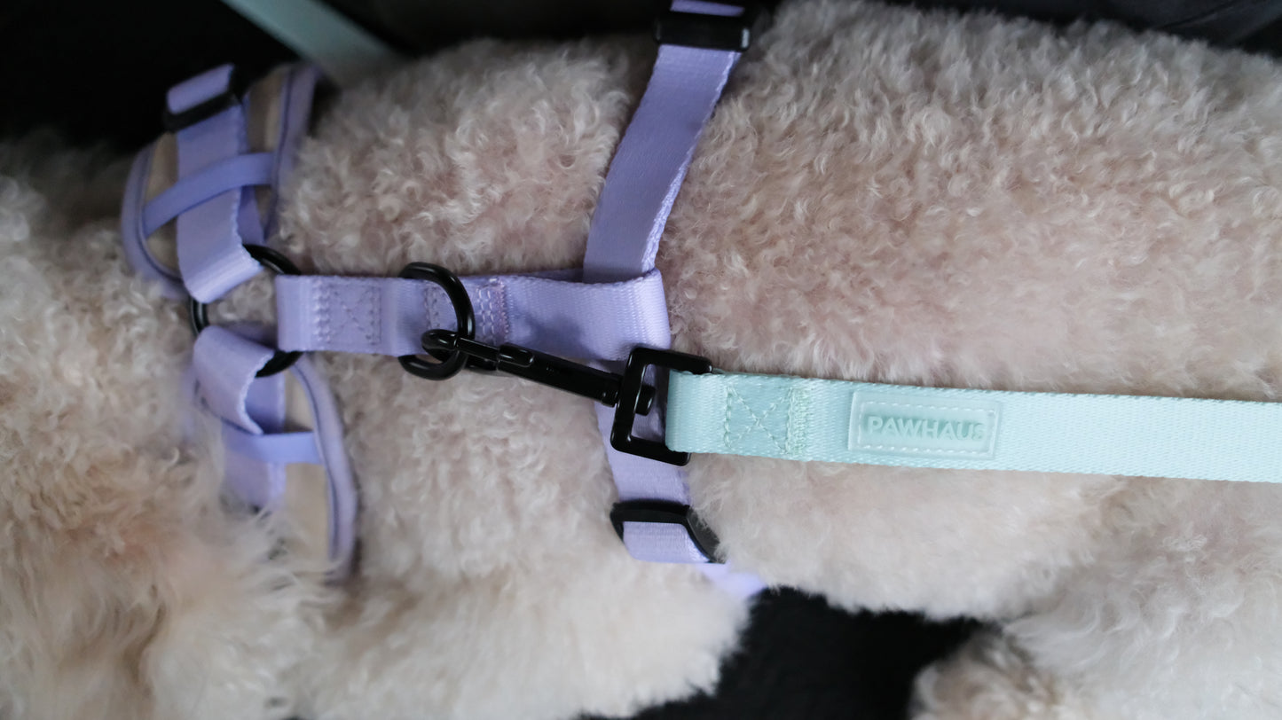 Spring Meadow Harness & Leash Set