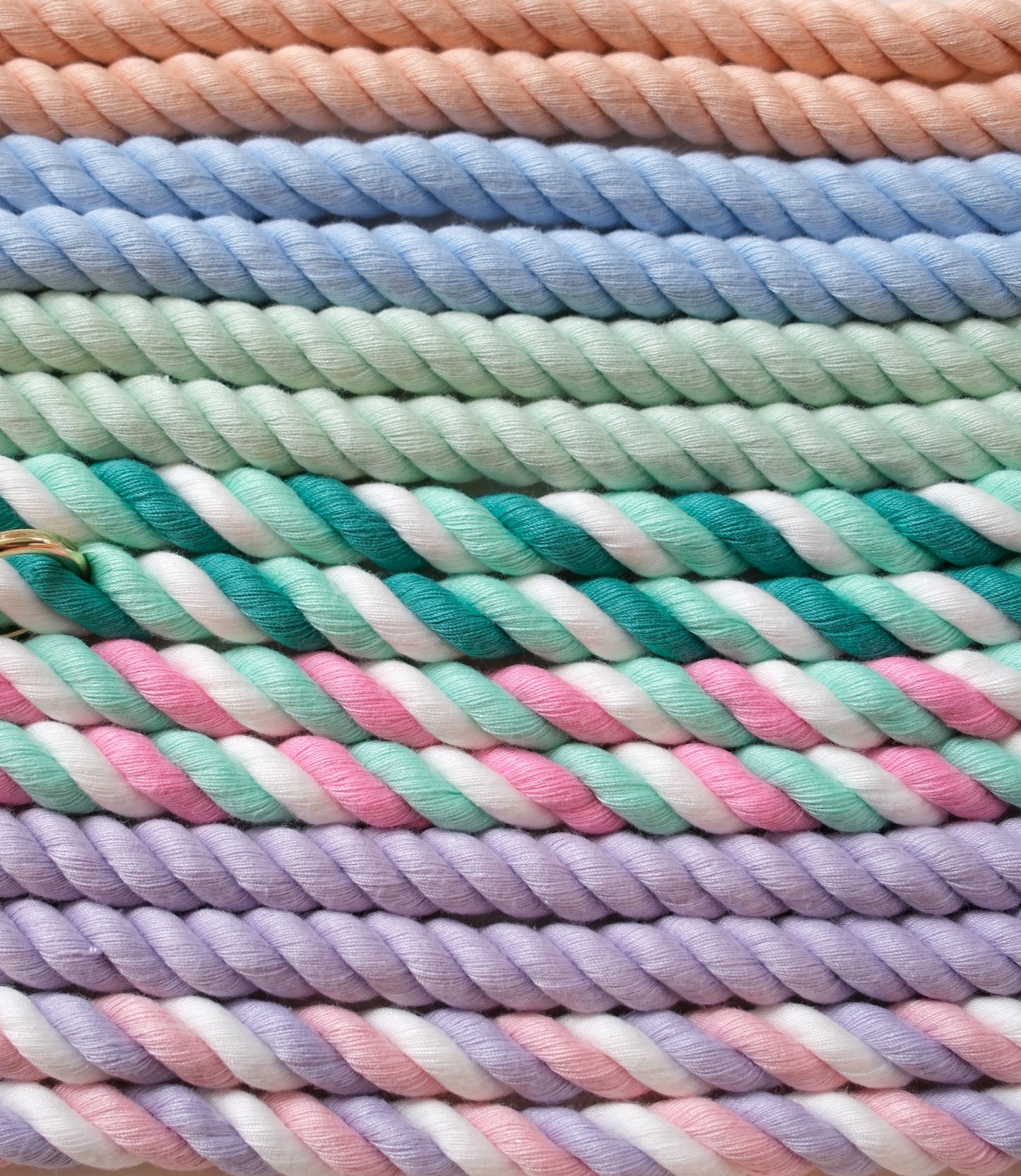 Pastel Twist Leash Collection