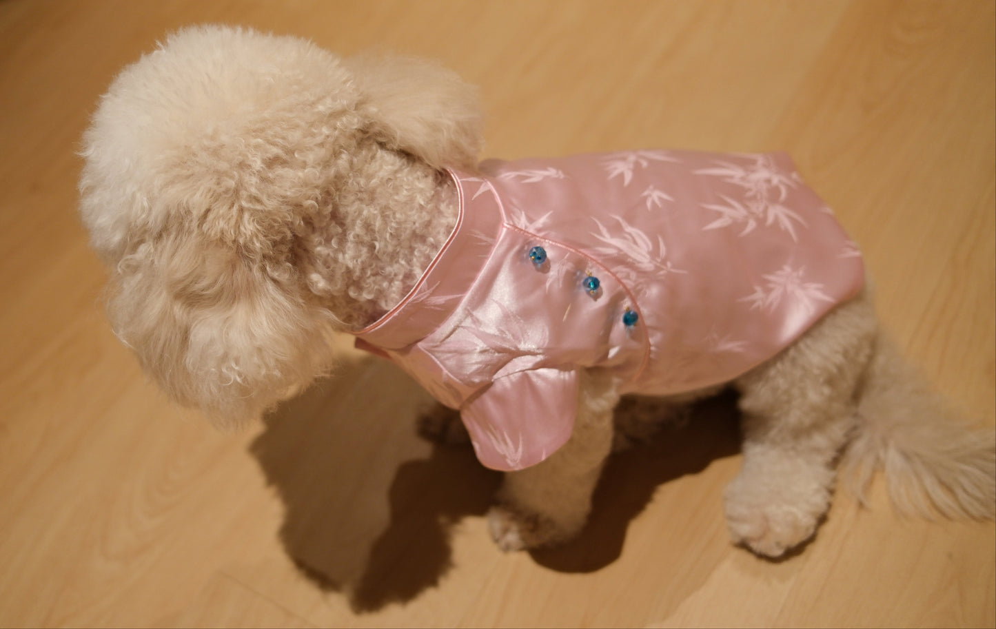 Little Qipao Collection