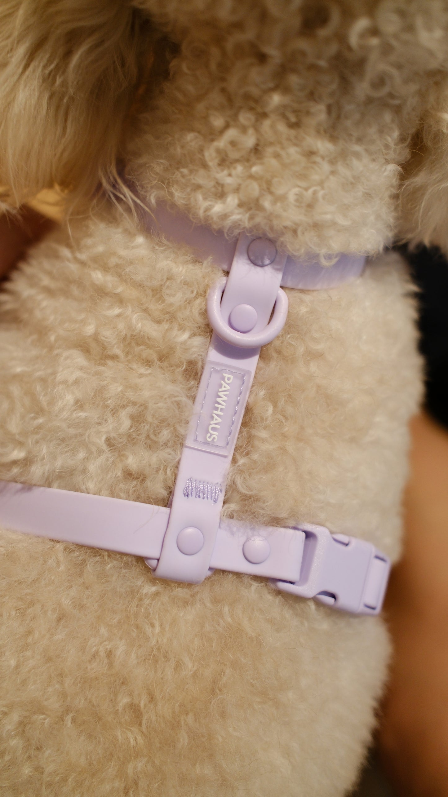 PuddleProof Harness Collection