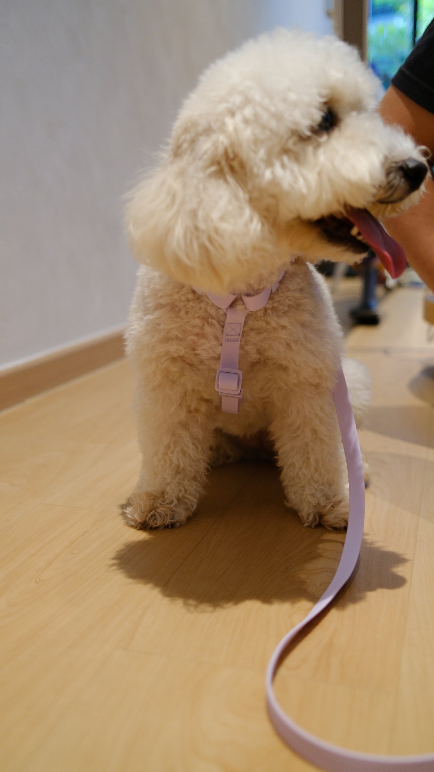 PuddleProof Harness Collection