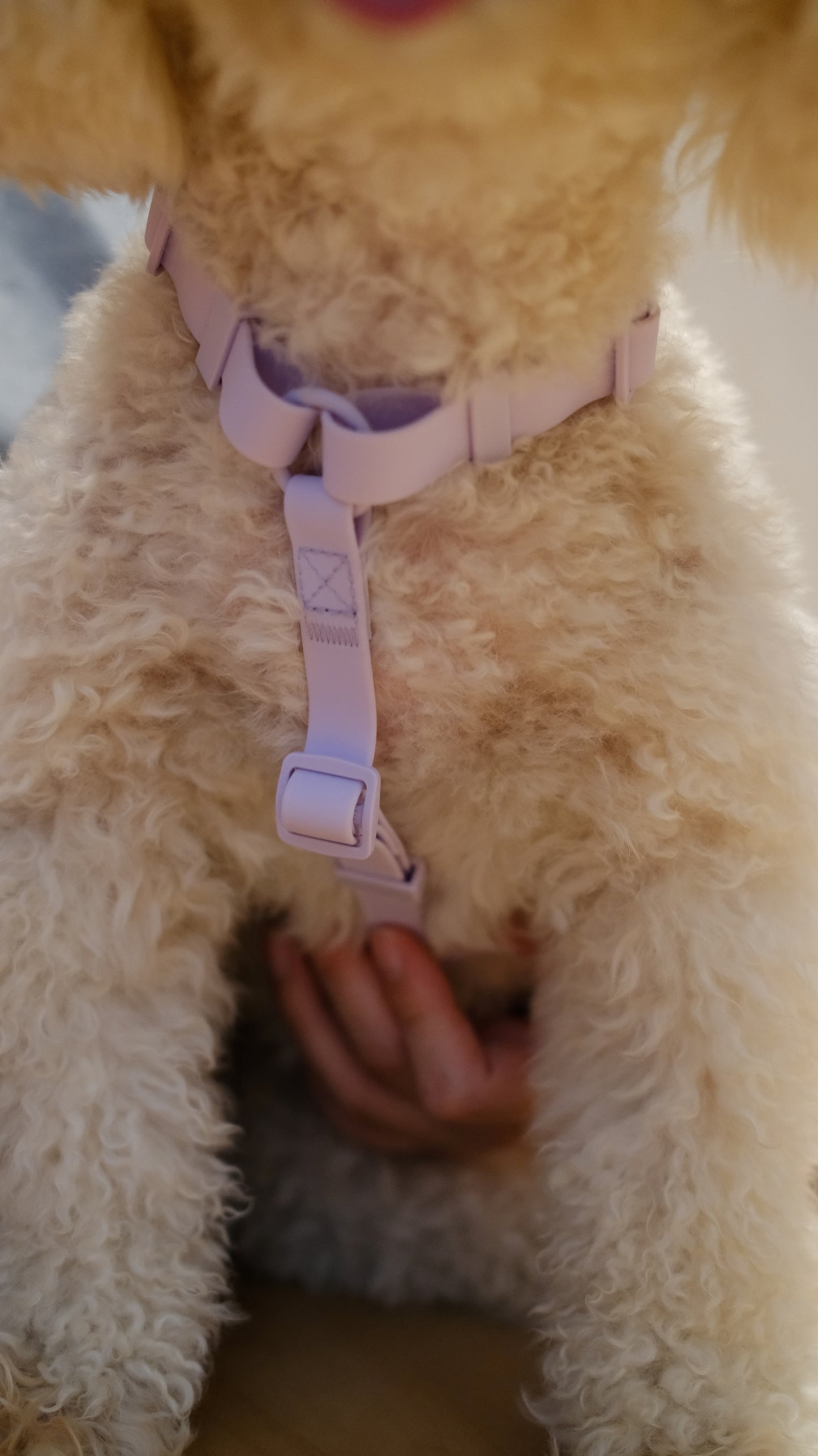 PuddleProof Harness Collection