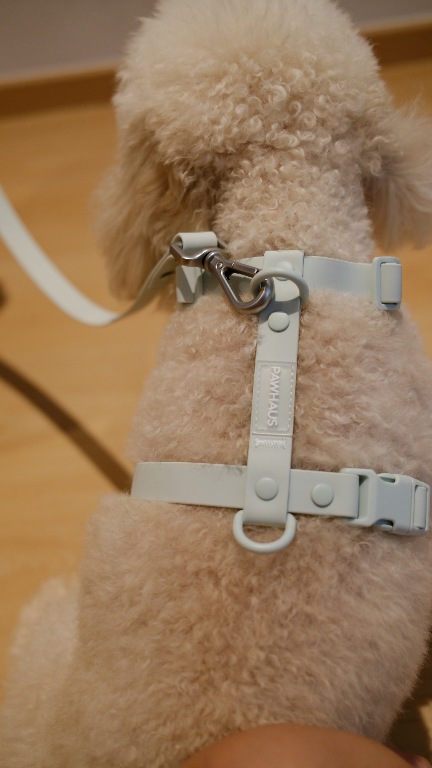 PuddleProof Harness Collection