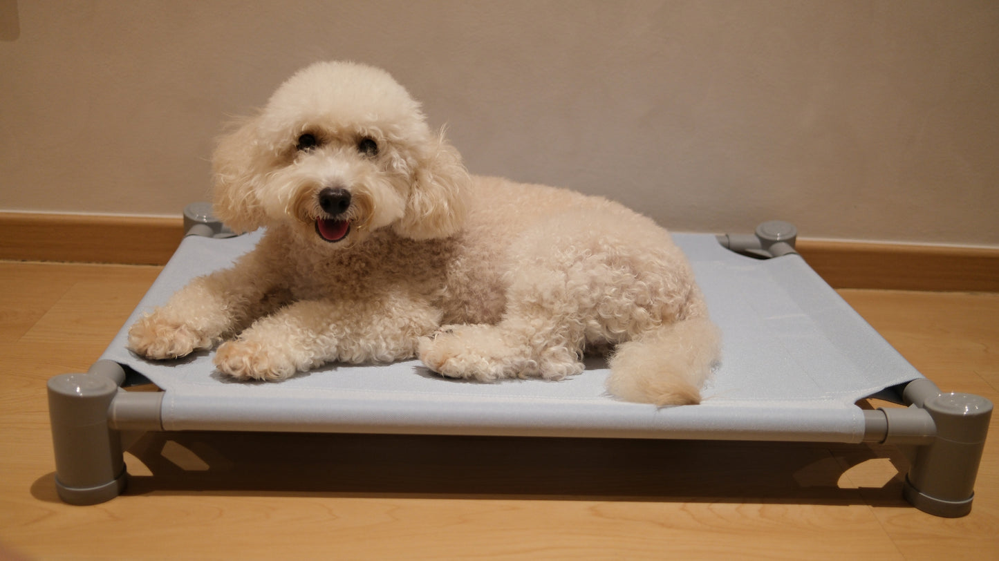 Pastel Elevated Pet Bed