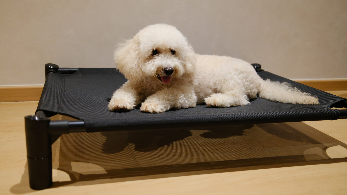 Pastel Elevated Pet Bed