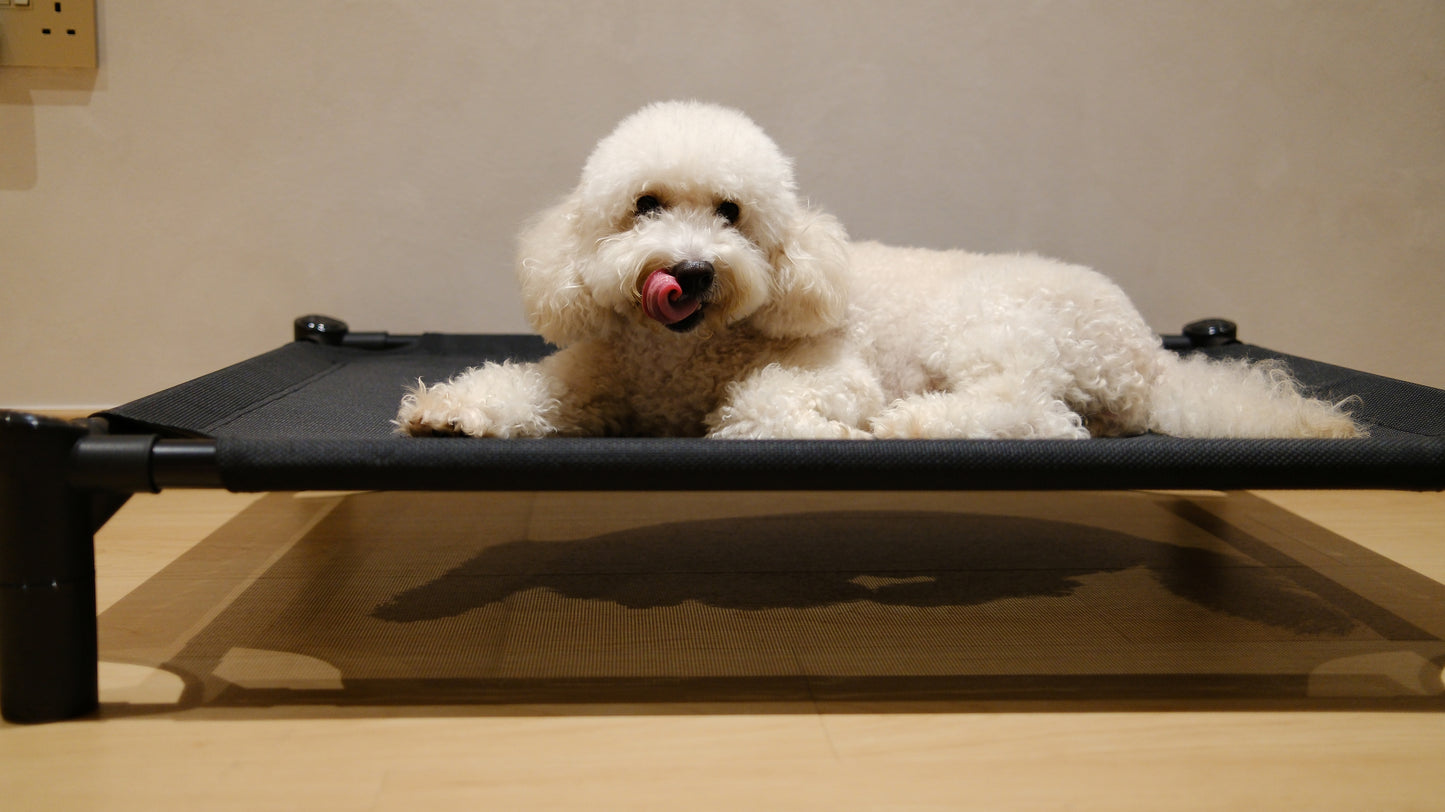 Pastel Elevated Pet Bed