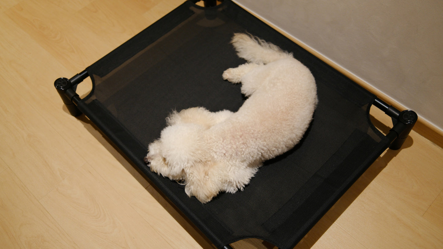 Pastel Elevated Pet Bed