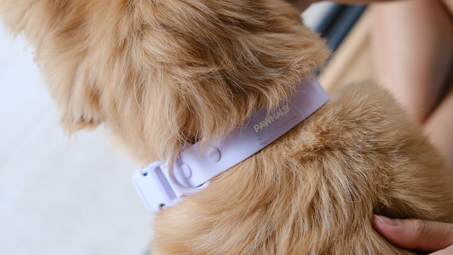 PuddleProof Harness Collection