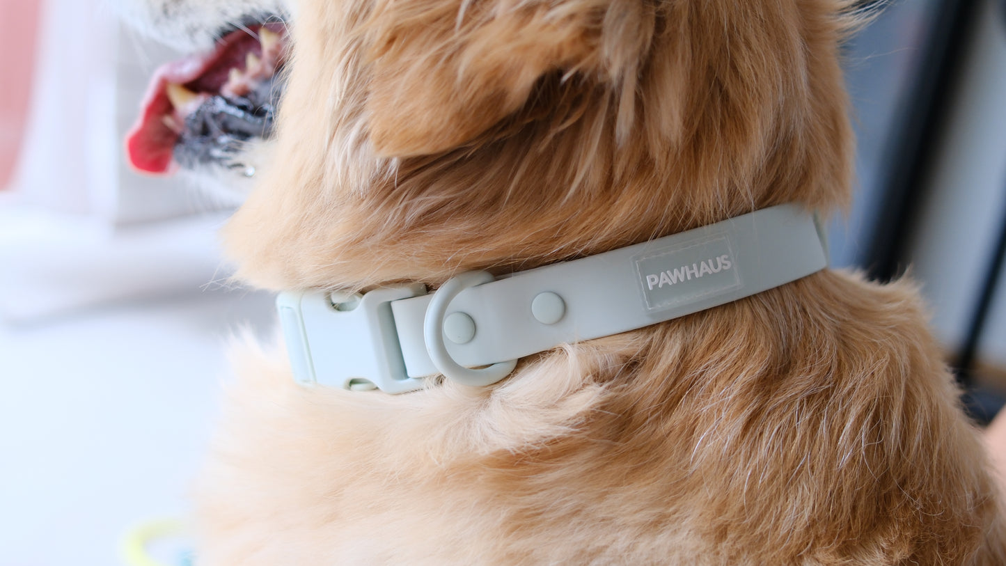 PuddleProof Harness Collection