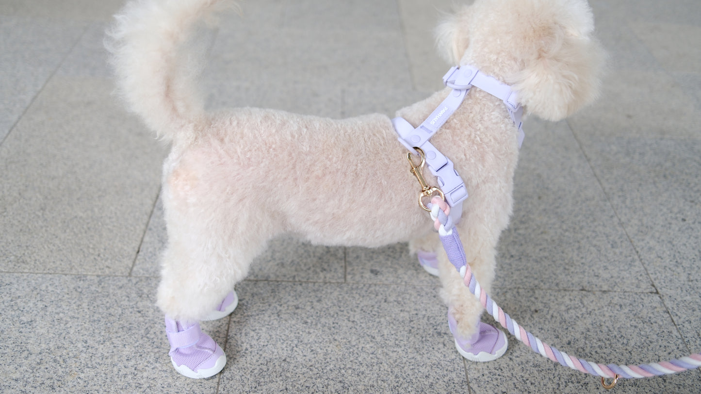 AirPaws™ Series 001 — Lightweight Breathable Dog Shoes