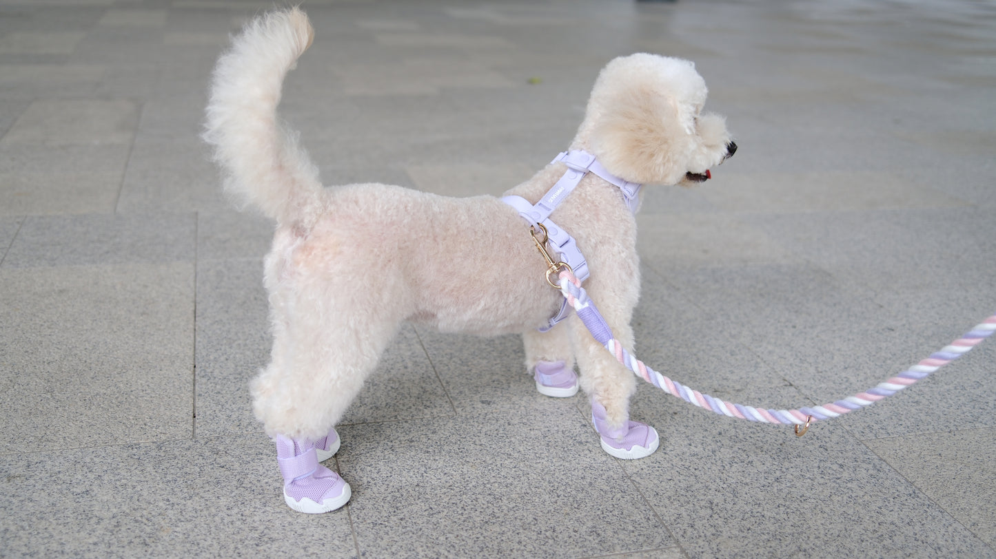 AirPaws™ Series 001 — Lightweight Breathable Dog Shoes