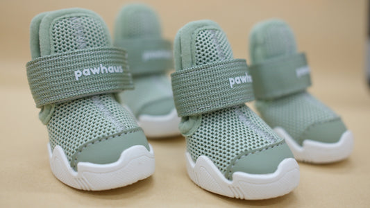 AirPaws™ Series 001 — Lightweight Breathable Dog Shoes
