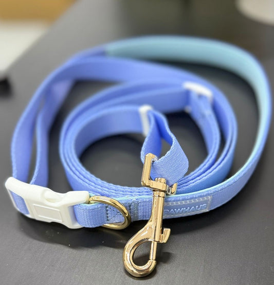 Hands free leash