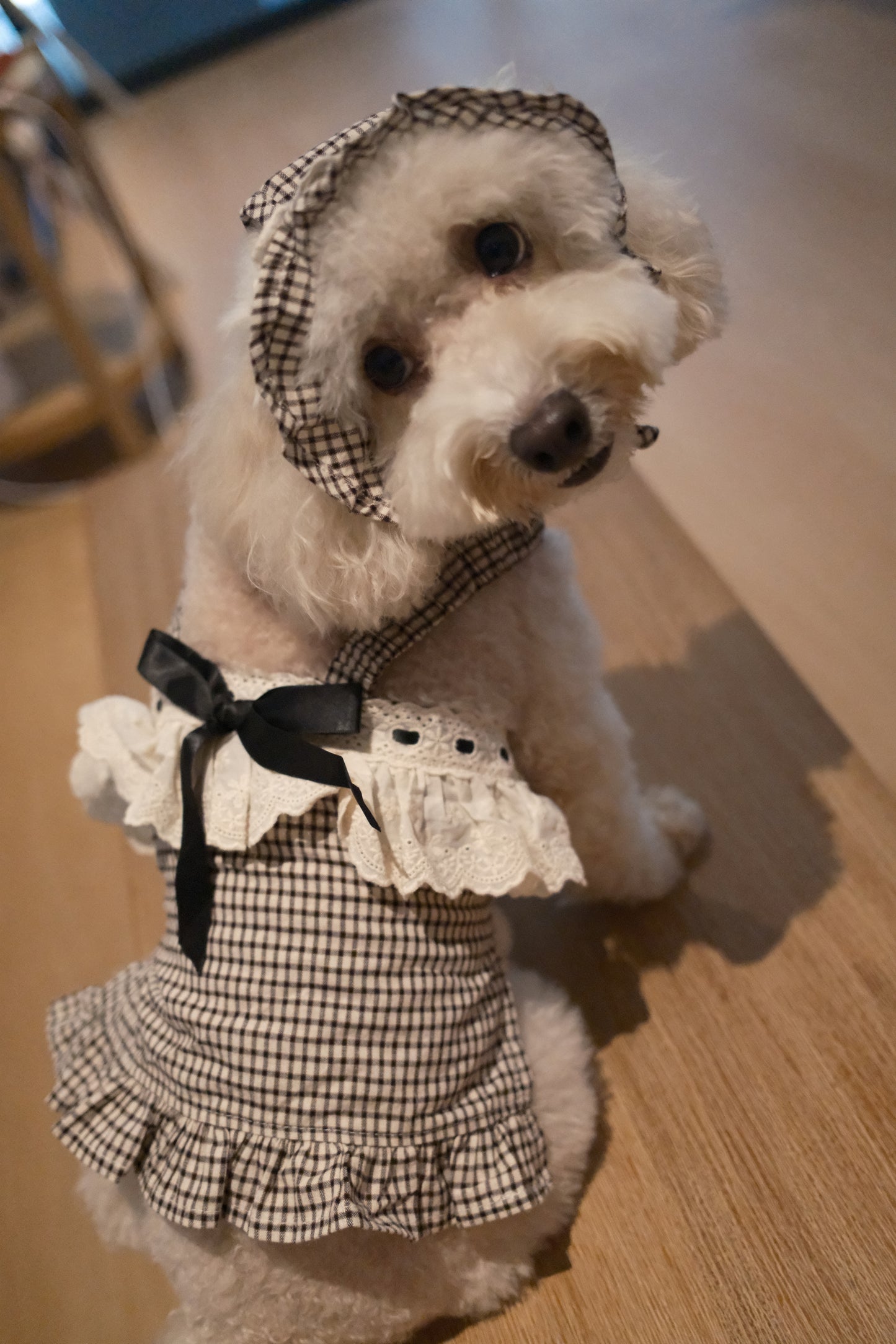 The Gingham Belle in Black