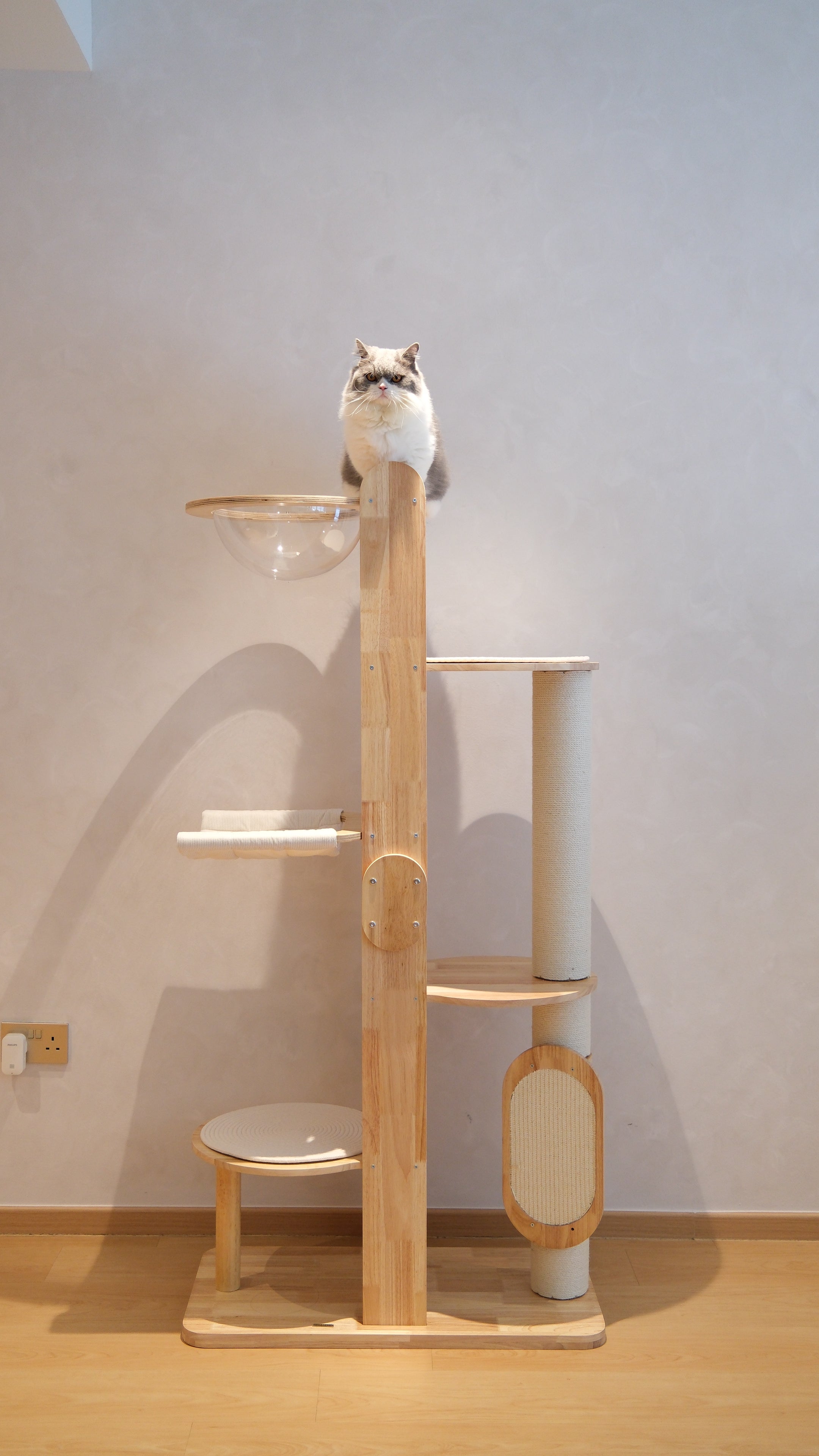 Purrch Club