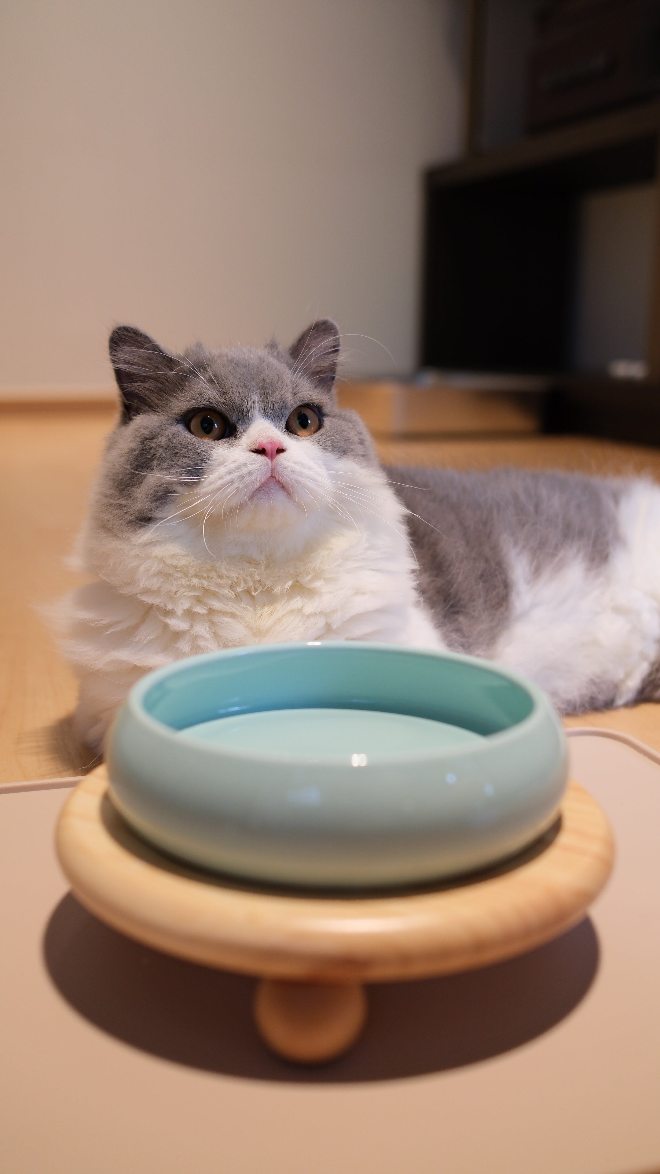 Pawhaus Tableware - Single Stand Collection