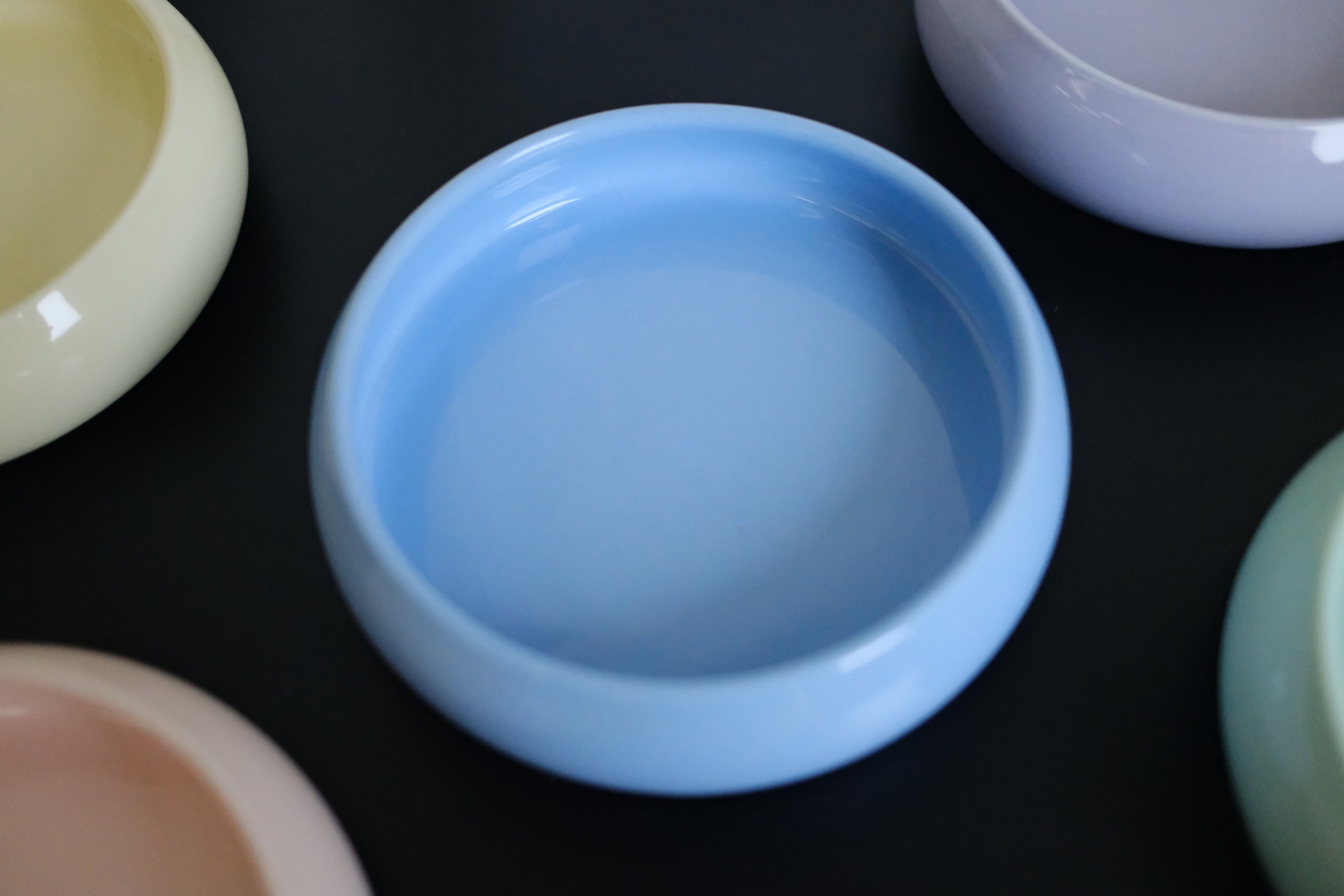 Pet Bowls and Placemats