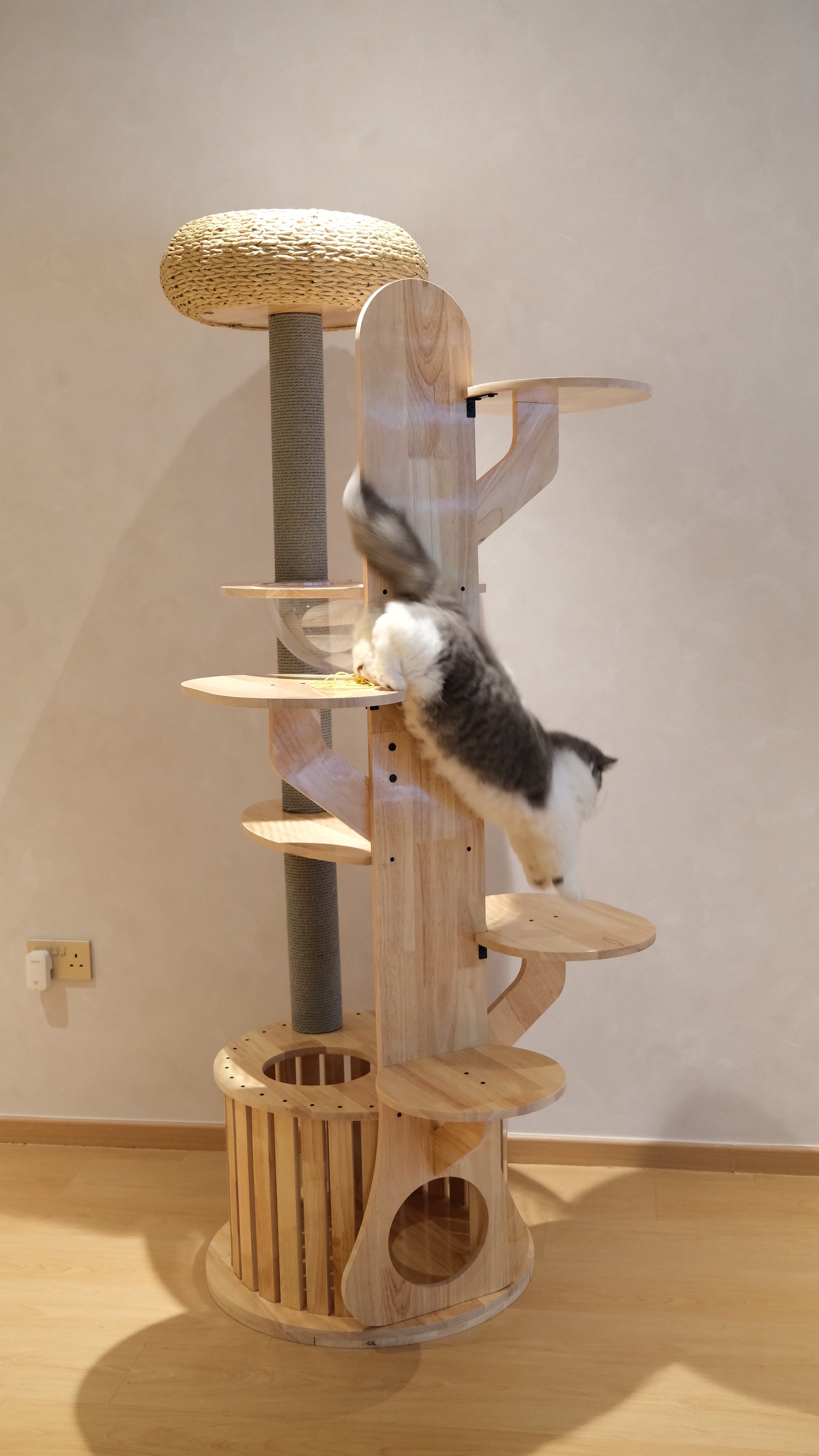 Purrch Club - Cloud