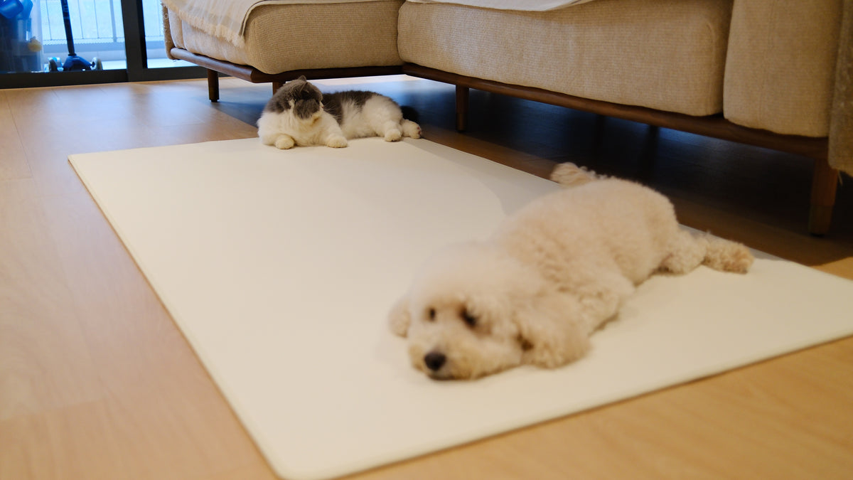Pawhaus CloudMat™