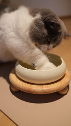 Pawhaus Tableware - Single Stand Collection