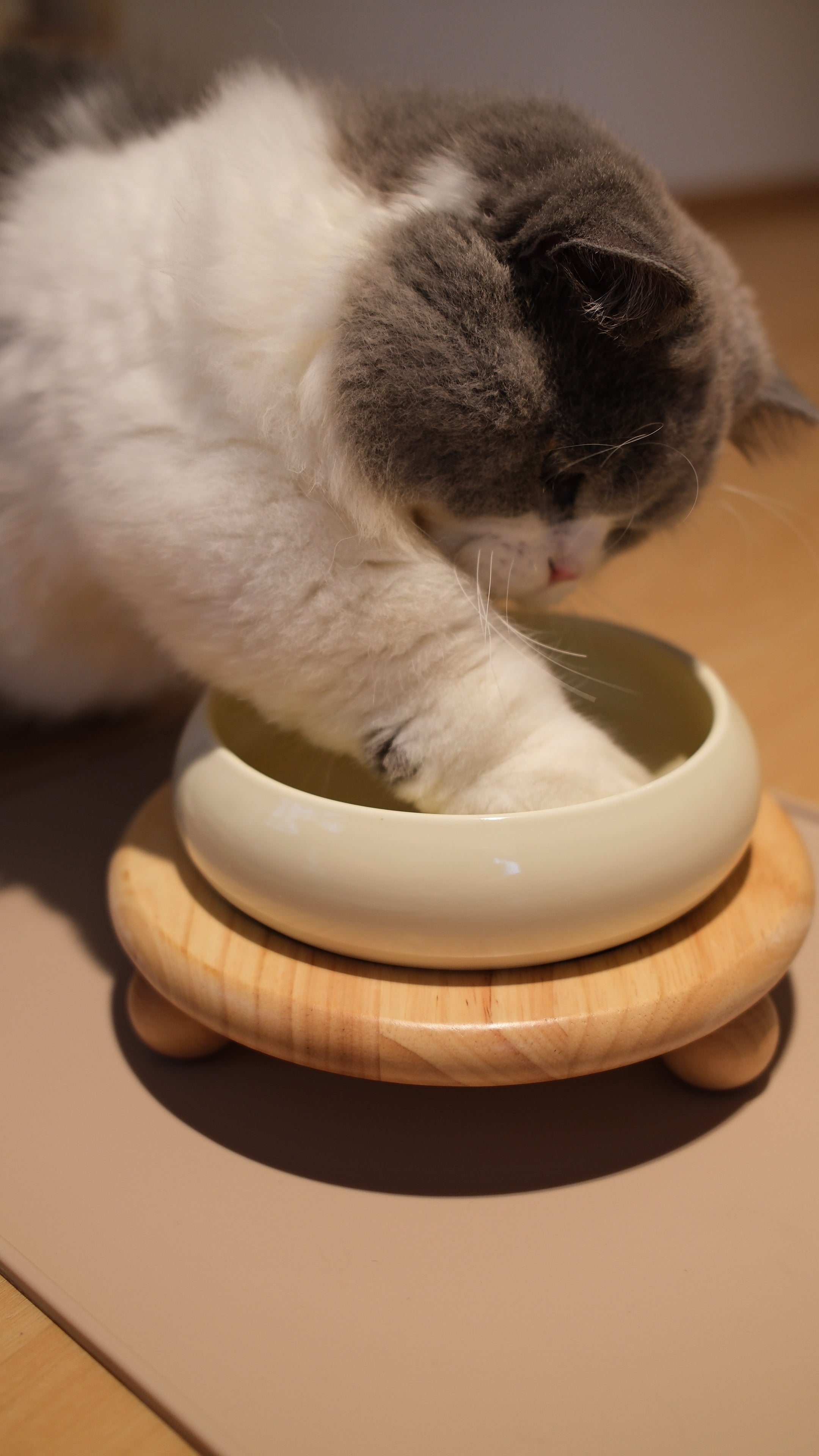 Pawhaus Tableware - Single Stand Collection
