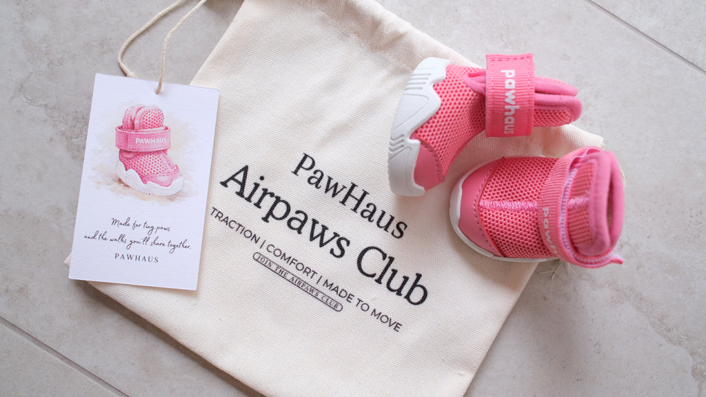 AirPaws™ Series 001 — Barbie Pink [Limited Edit]