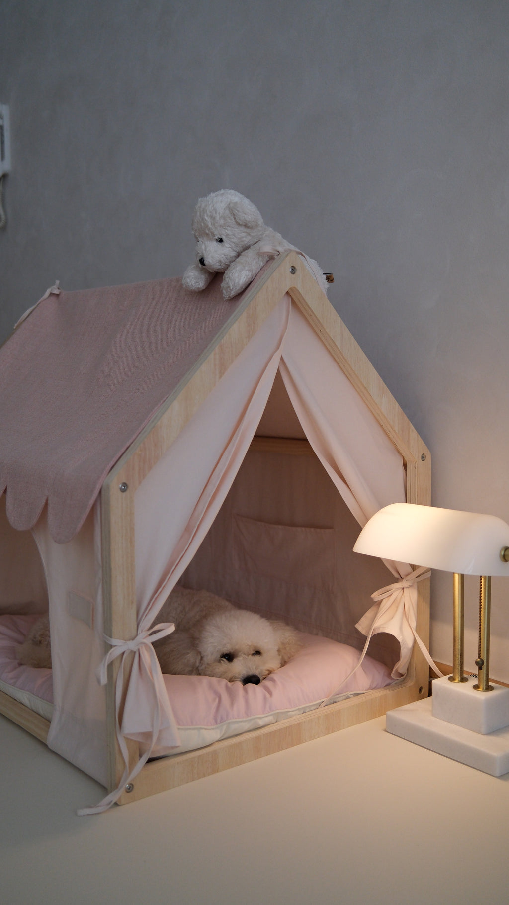 Home | Pawhaus × PawScoutSquad (Pre order, ETA 7 Dec 2026)