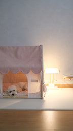 Home | Pawhaus × PawScoutSquad (Pre order, ETA 7 Dec 2026)