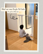 AiryLock™ Wall-Mounted Acrylic Pet Gate