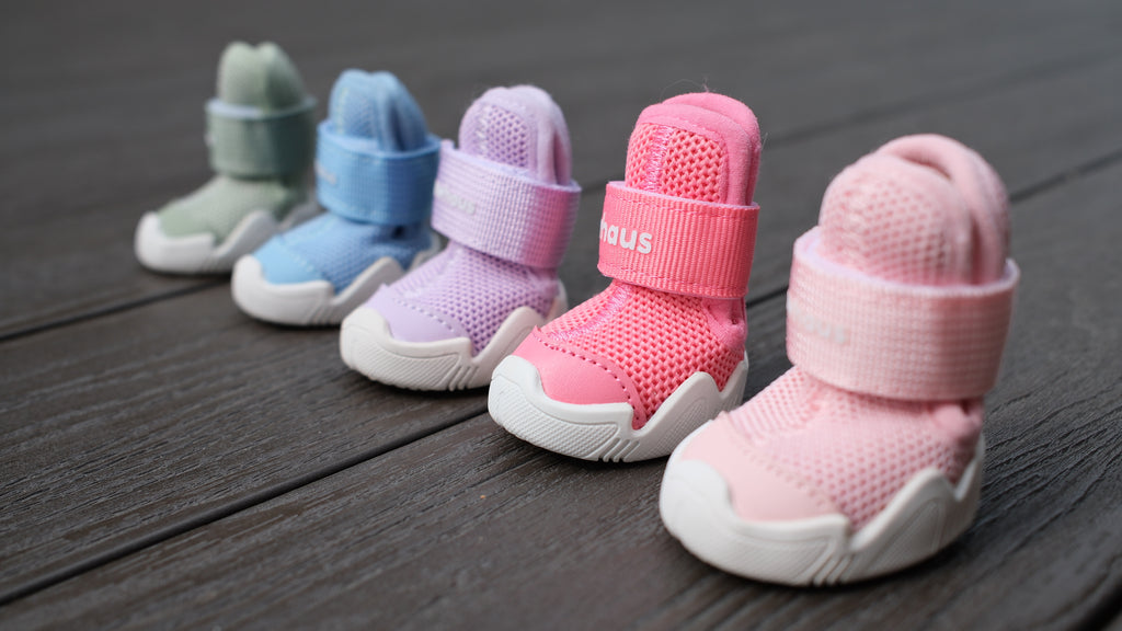 AirPaws™ Series 001 — Lightweight Breathable Dog Shoes