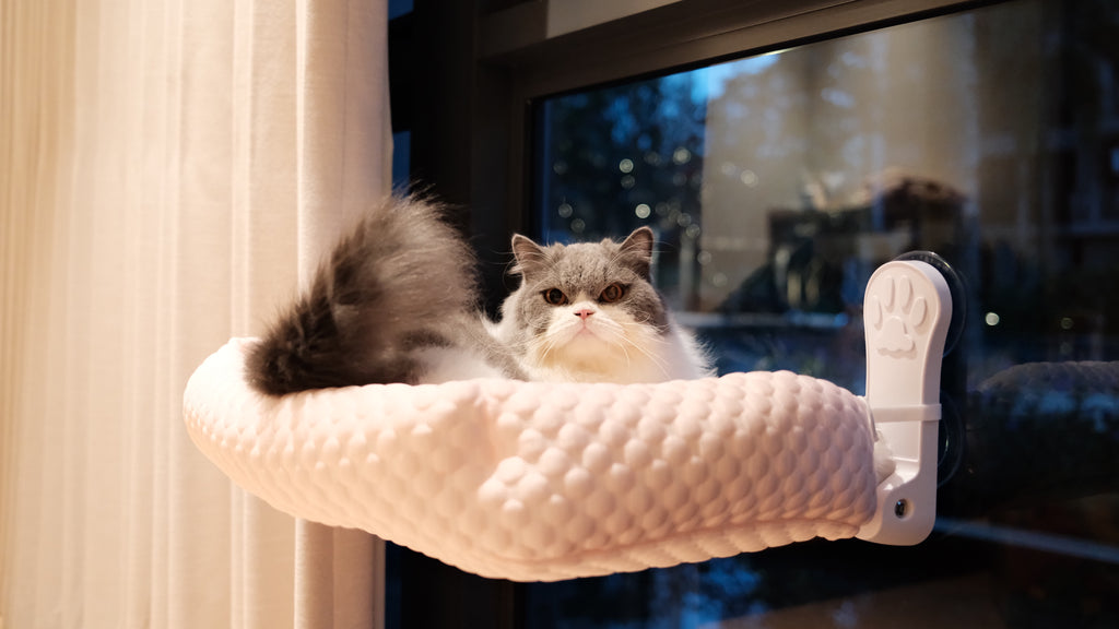 Window Perch | Cooling Window Hammock