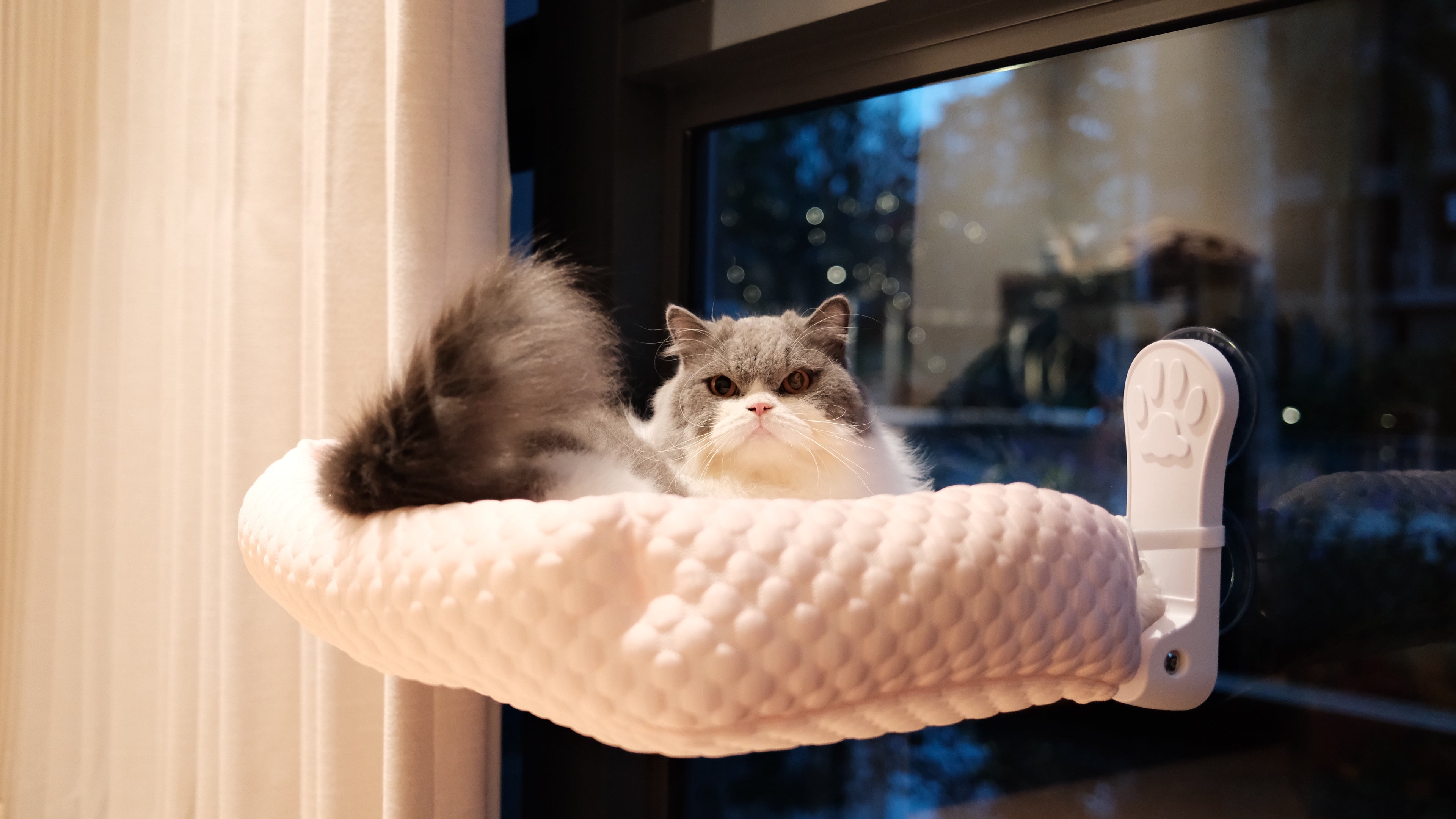 Window Perch | Cooling Window Hammock