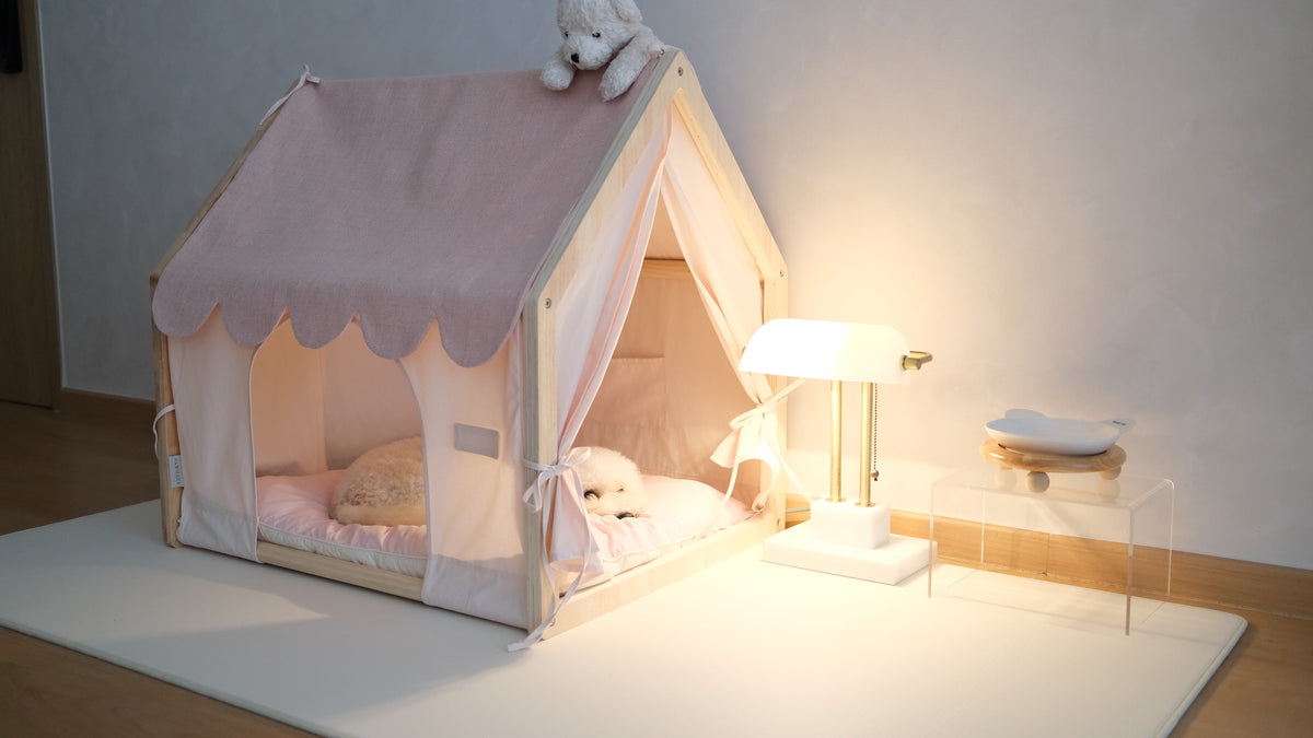 Home | Pawhaus × PawScoutSquad (Pre order, ETA 7 Dec 2026)