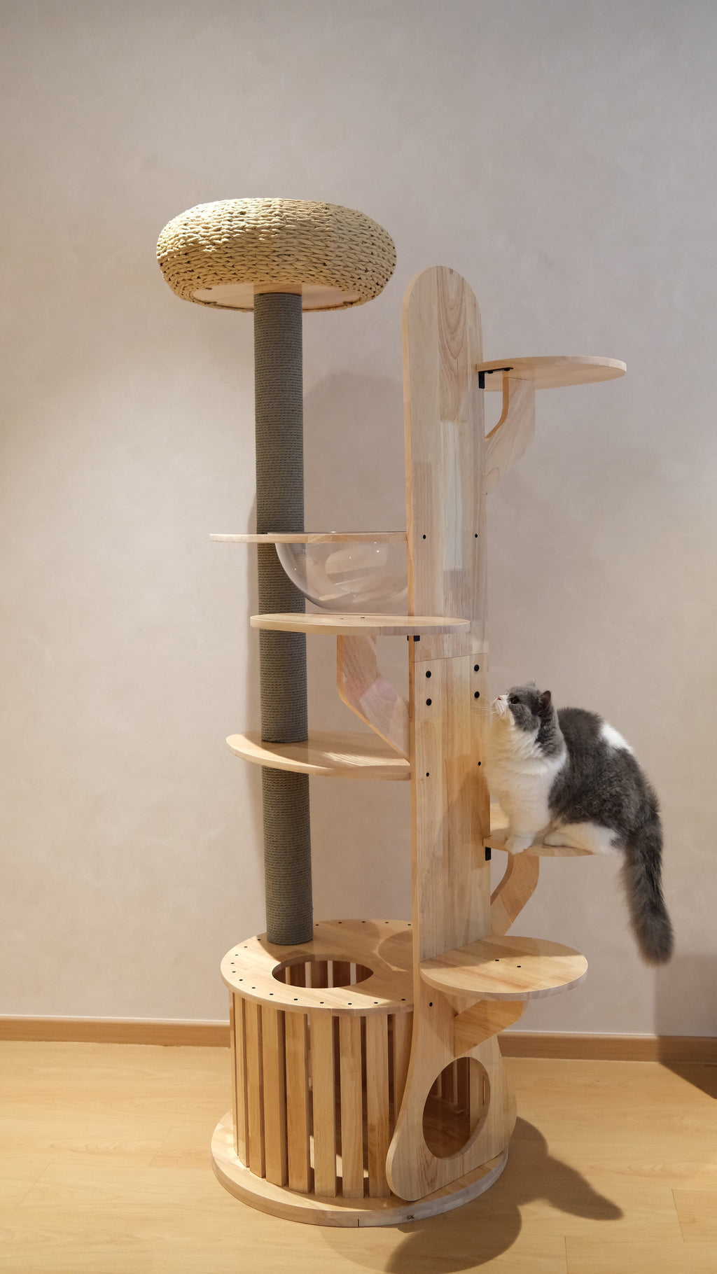 Purrch Club - Cloud