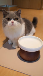 Pawhaus Tableware - Single Stand Collection