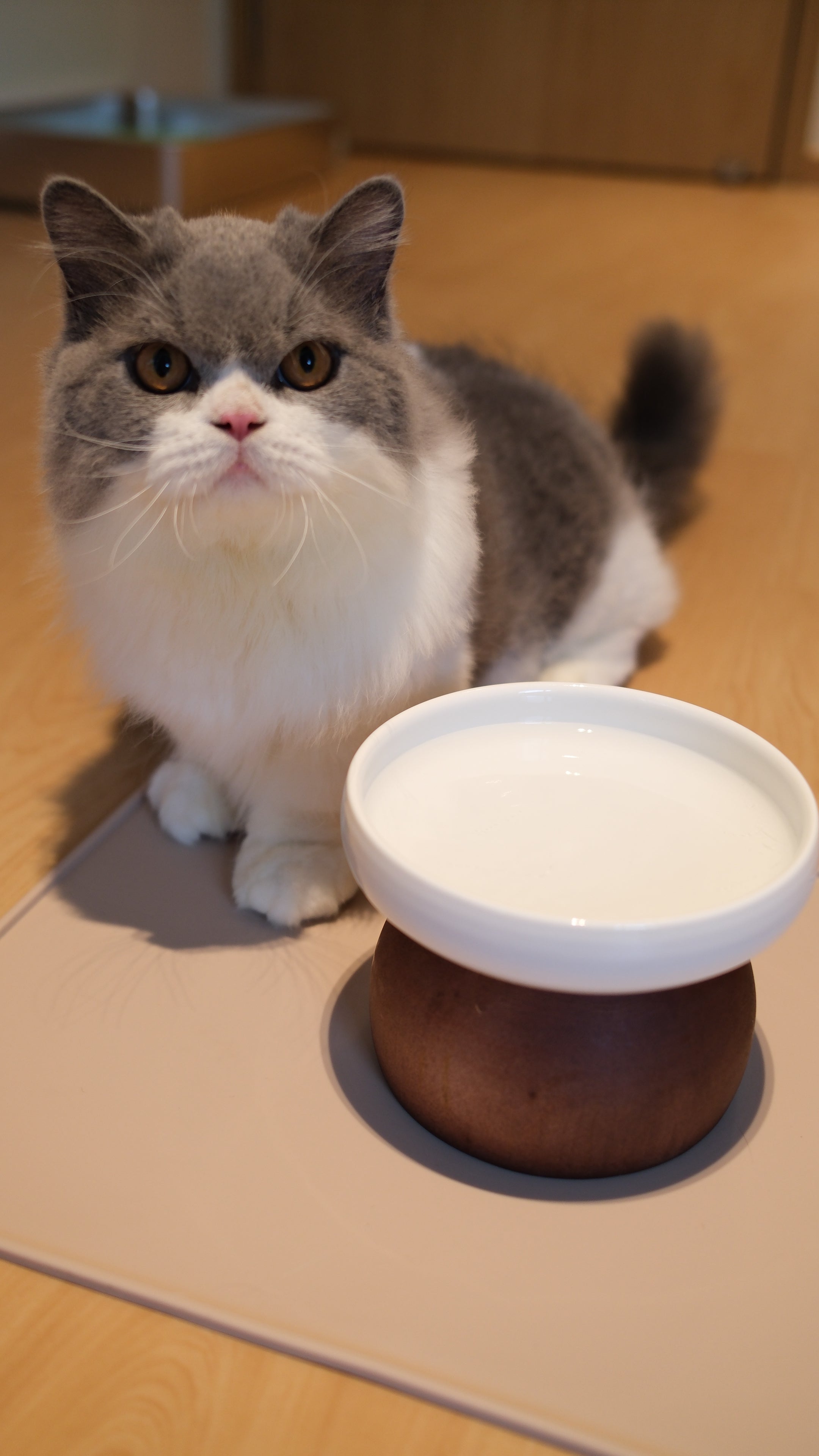 Pawhaus Tableware - Single Stand Collection