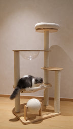 Purrch Club - Nook