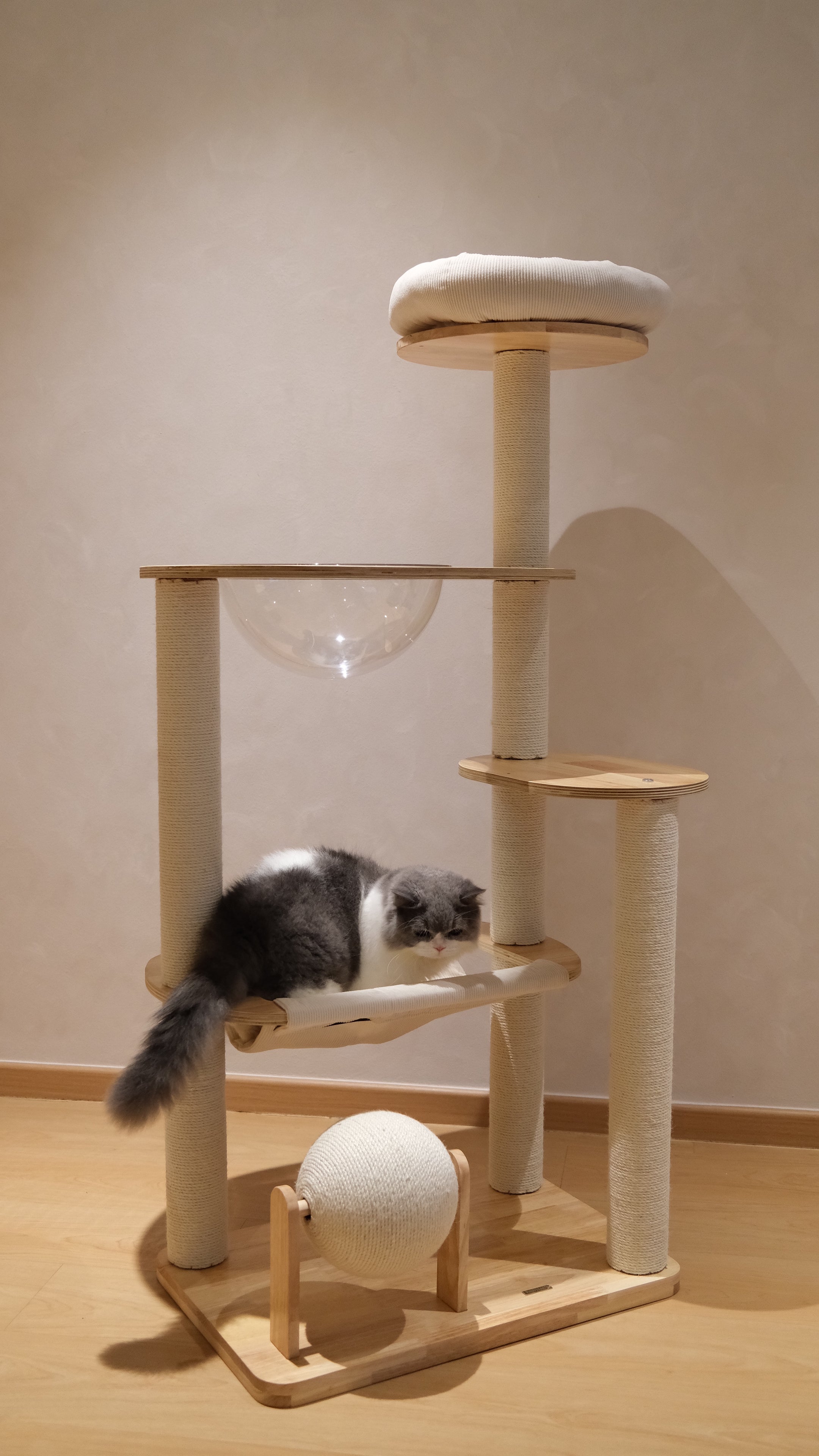 Purrch Club - Nook