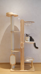 Purrch Club - Loft