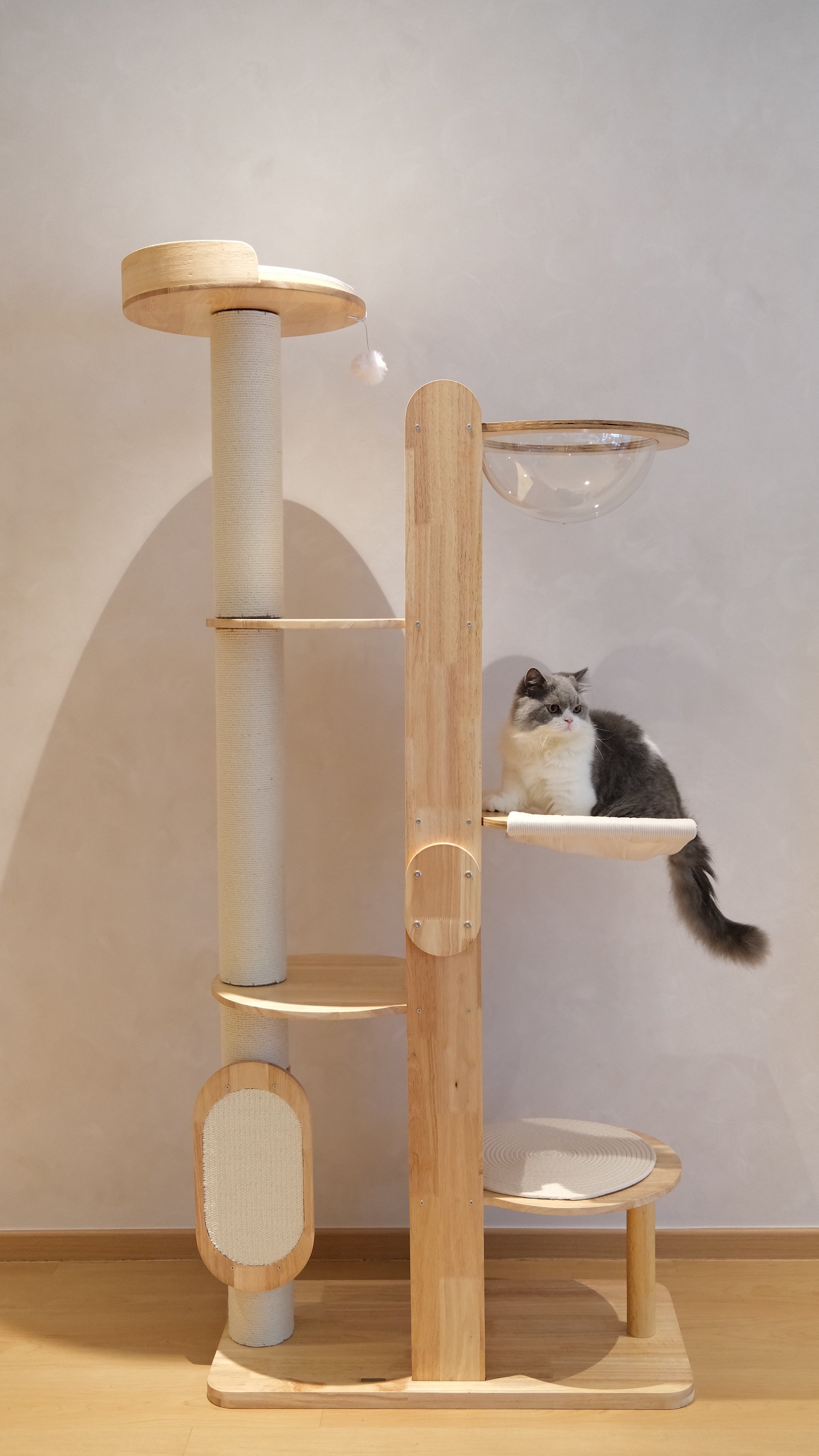 Purrch Club - Loft